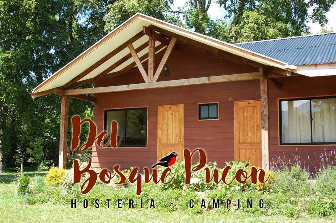 Hosteria Y Camping Del Bosque ปูกอน ภายนอก รูปภาพ